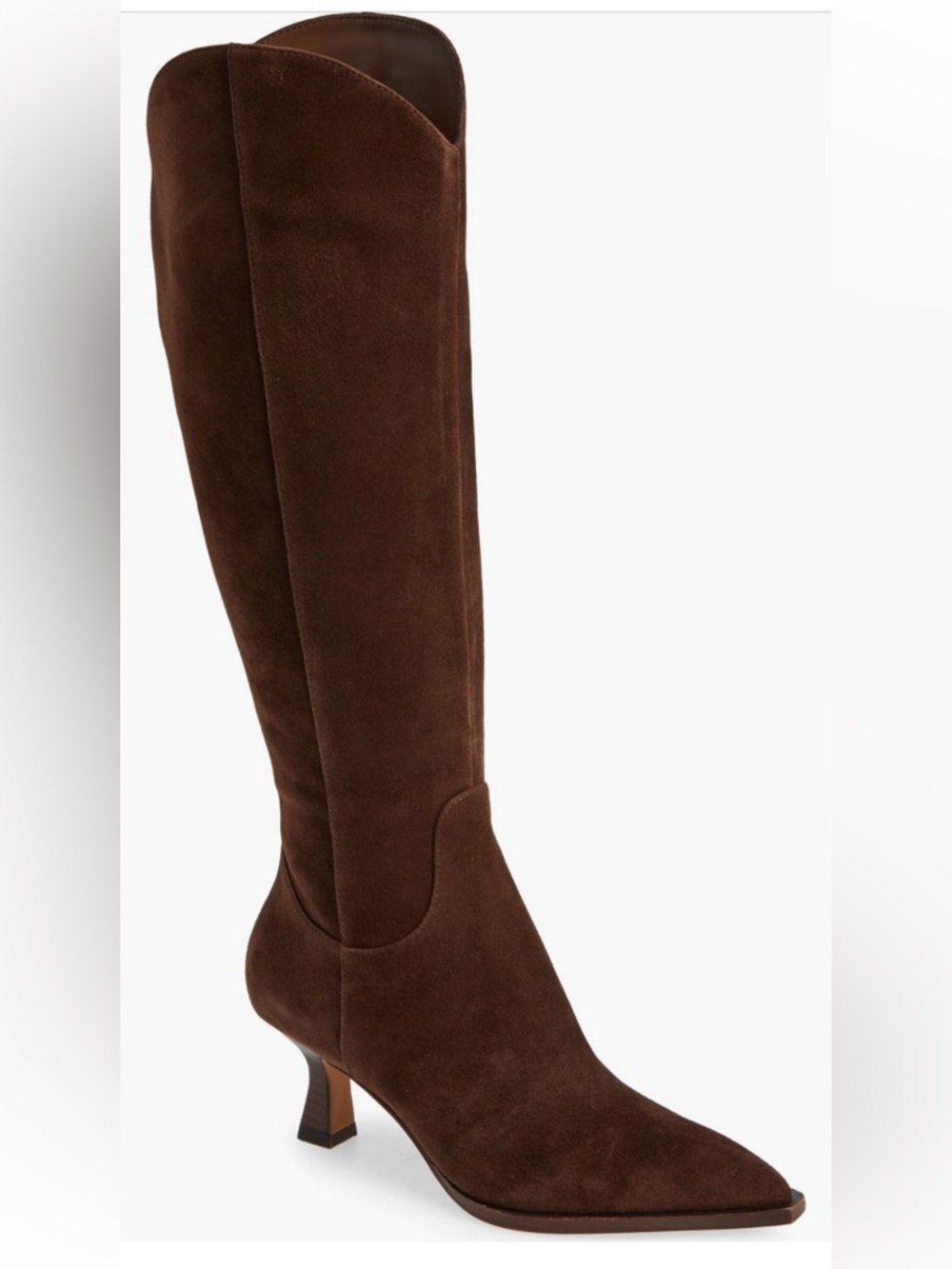 Dolce Vita Annika Pointed Toe Boot